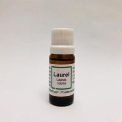 Laurel Aceite esencial 10ML