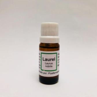 Laurel Aceite Esencial orgánico 10mL