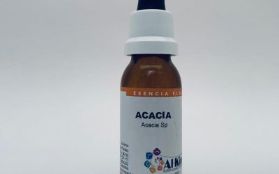 Acacia Botella Stock