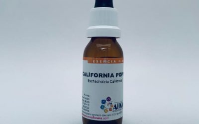 California Poppy Botella Stock