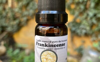 Incienso o Frankincense Aceite Esencial 10 ml