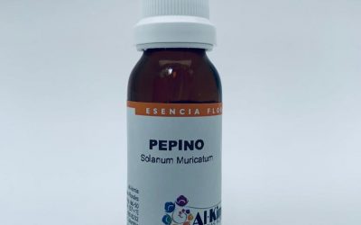 Pepino Botella Stock