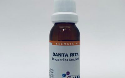 Santa Rita Botella Stock