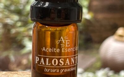 Palo Santo Aceite Esencial 5 ml