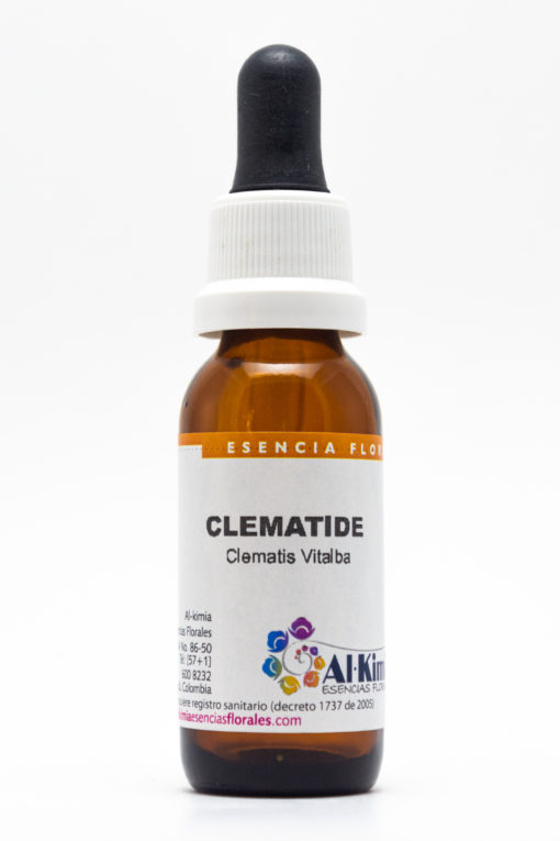 Clemátide Botella Stock