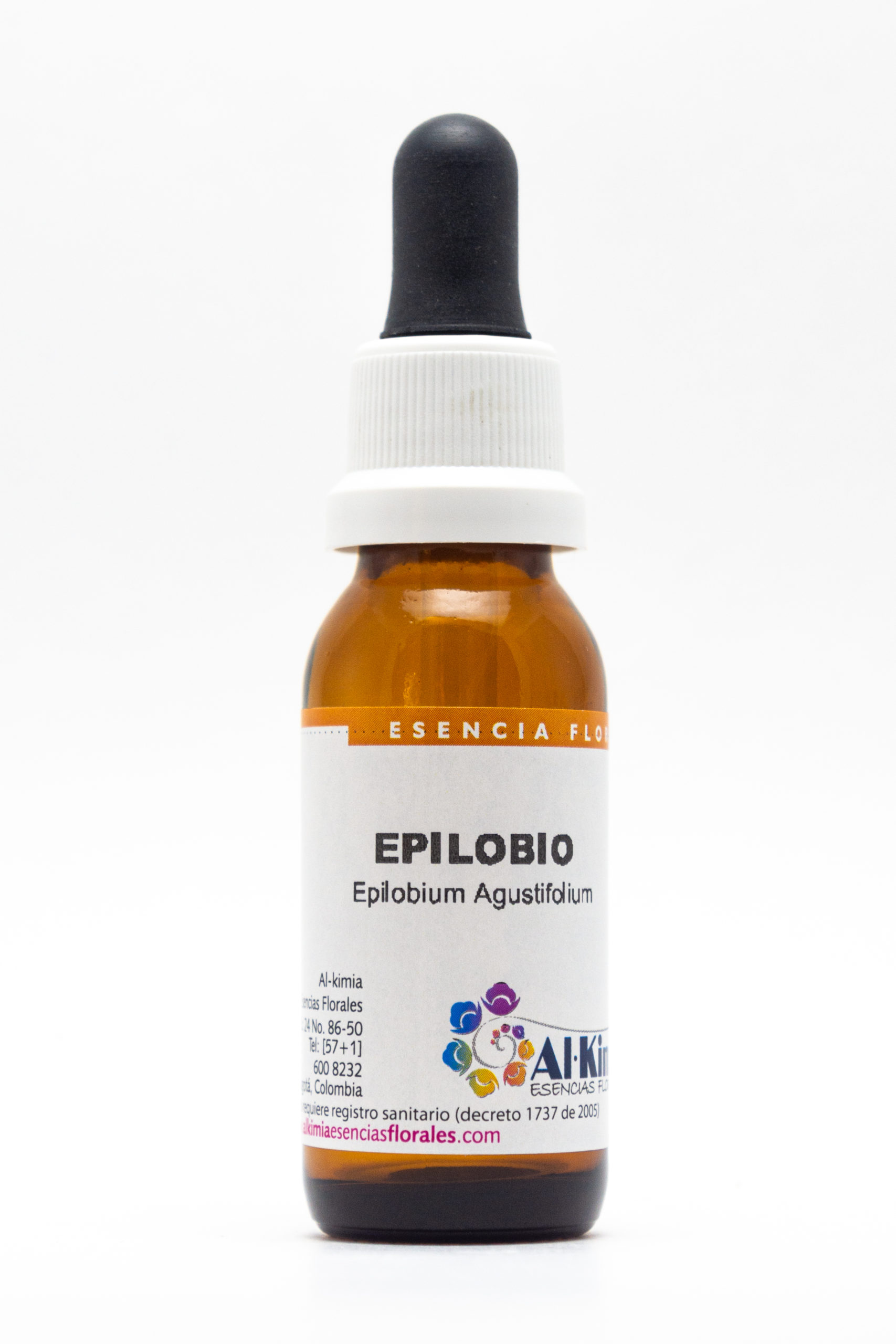 Epilobio Botella Stock