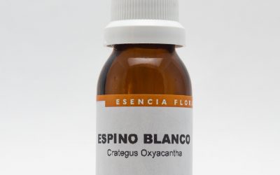 Espino Blanco Botella Stock