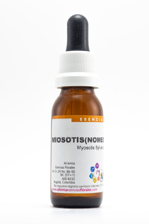 Miosotis o No me Olvides Botella Stock