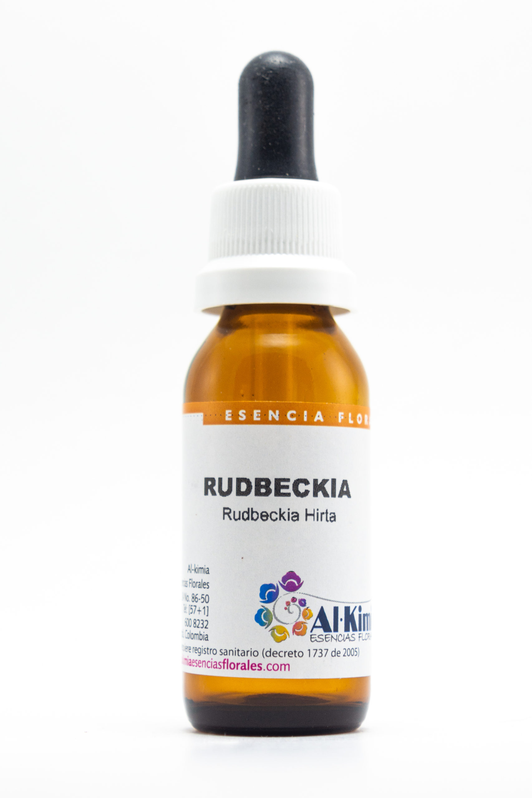 Rudbeckia Botella Stock