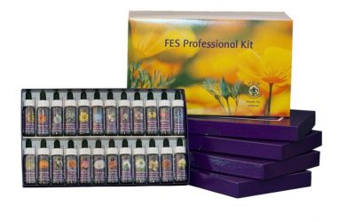 Set FES Profesional Kit 103